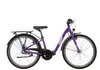 BBF Jugendrad Streetrider lite Wave / 24 Zoll RH 32 cm lila